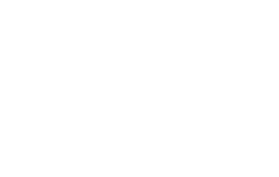Professionelles Steuerberater Logo erstellen lassen